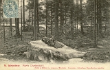 Gérardmer. - Pierre Charlemagne